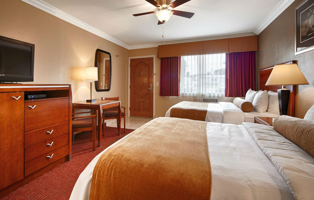 Western Tradewinds
